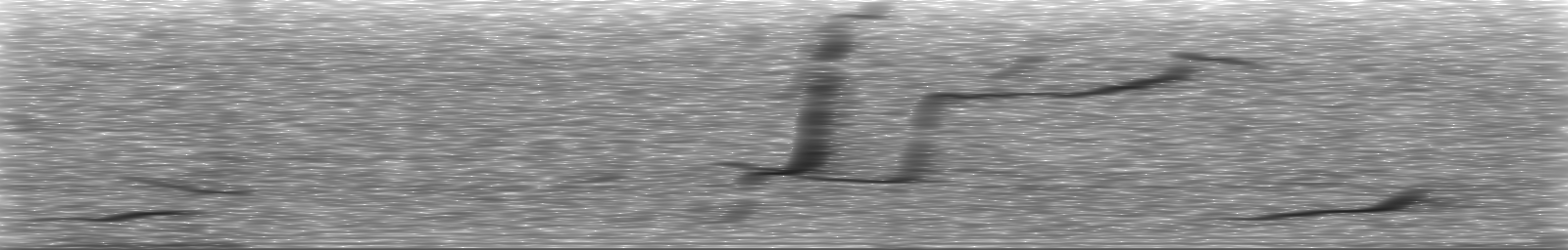 [Loading Spectrogram]