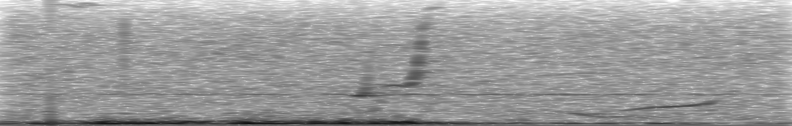 [Loading Spectrogram]