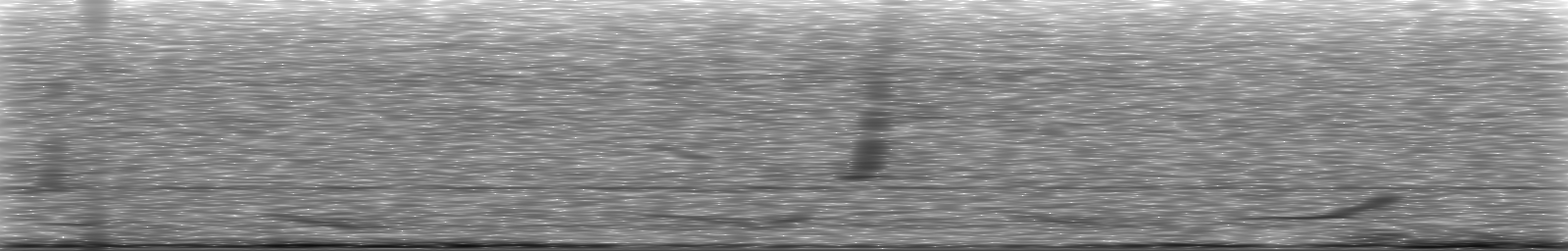 [Loading Spectrogram]