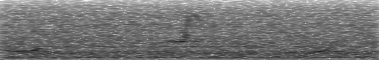 [Loading Spectrogram]