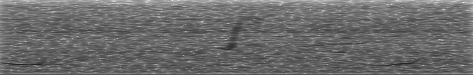 [Loading Spectrogram]