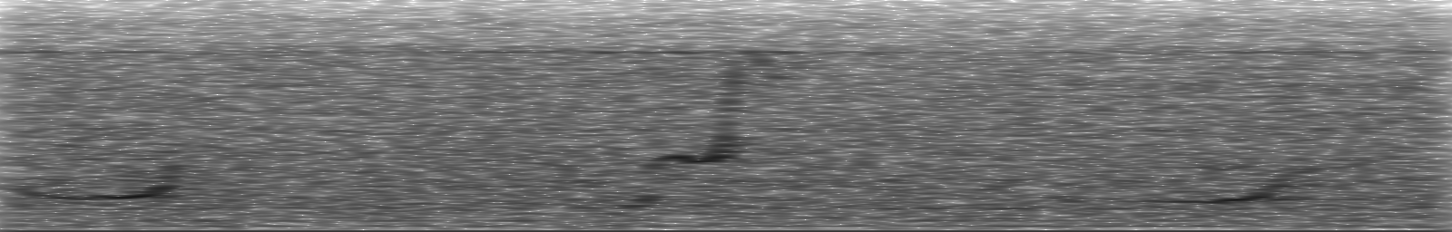 [Loading Spectrogram]