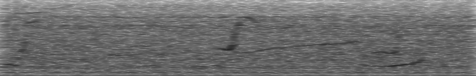 [Loading Spectrogram]