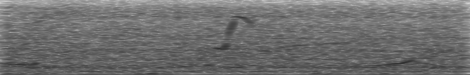 [Loading Spectrogram]