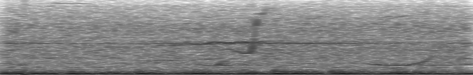 [Loading Spectrogram]