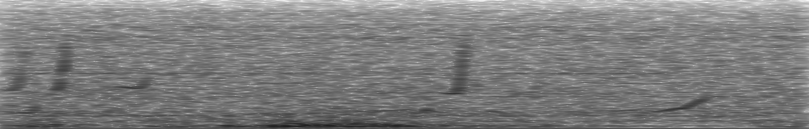 [Loading Spectrogram]