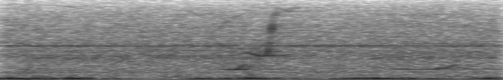 [Loading Spectrogram]