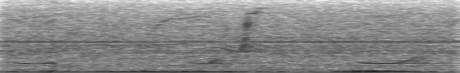 [Loading Spectrogram]