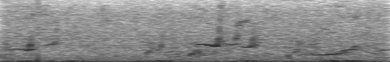 [Loading Spectrogram]