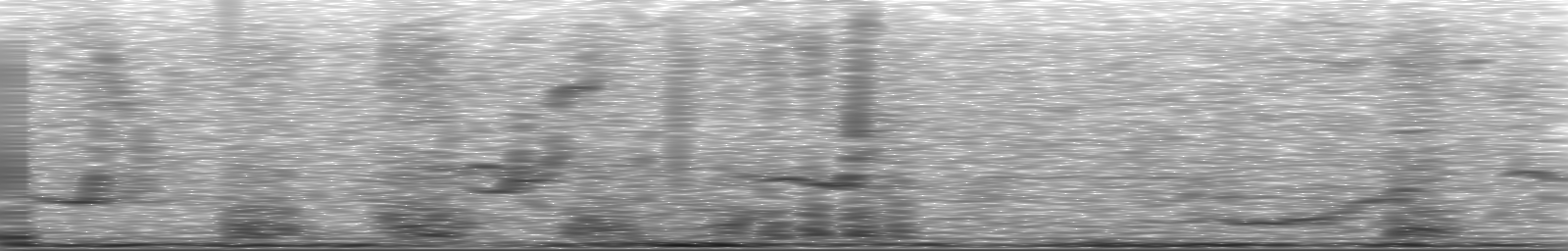 [Loading Spectrogram]