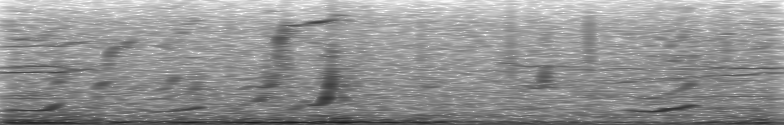 [Loading Spectrogram]