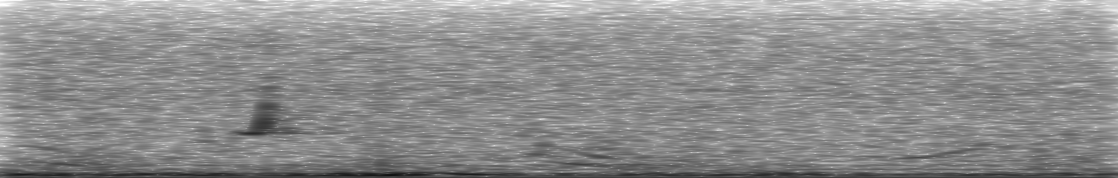 [Loading Spectrogram]