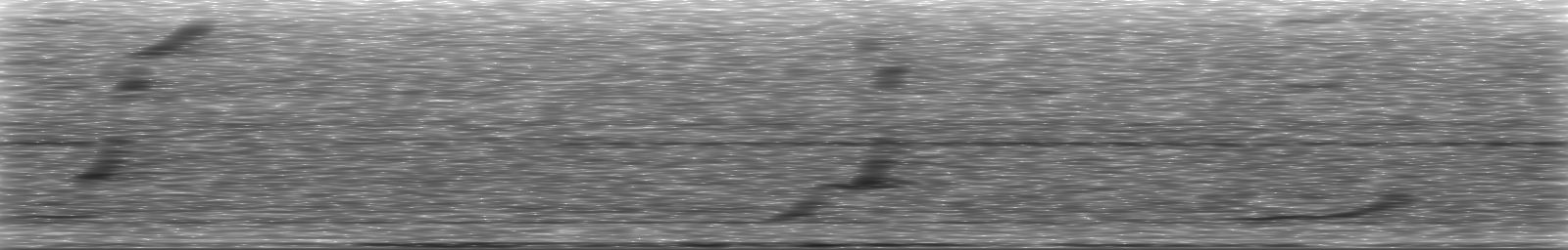 [Loading Spectrogram]