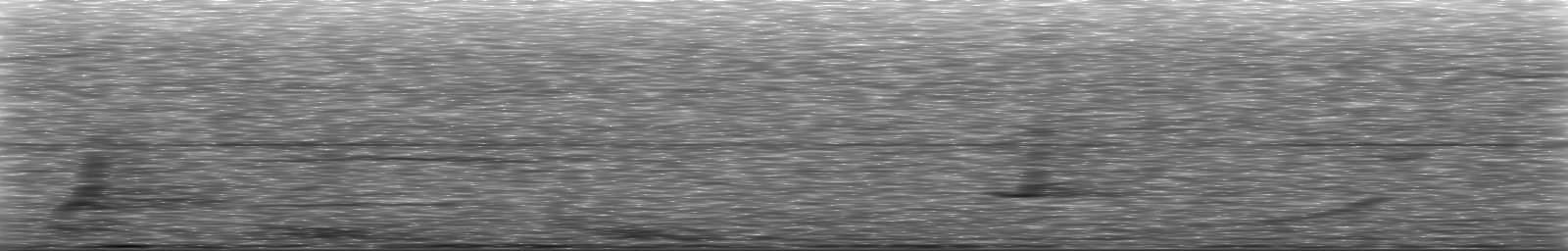 [Loading Spectrogram]