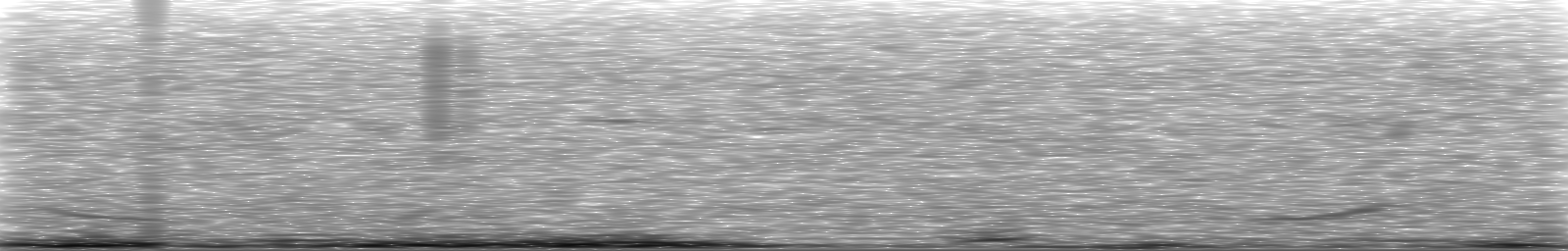 [Loading Spectrogram]