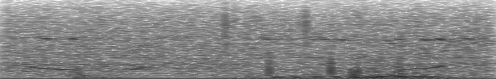 [Loading Spectrogram]