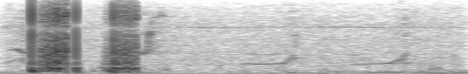 [Loading Spectrogram]