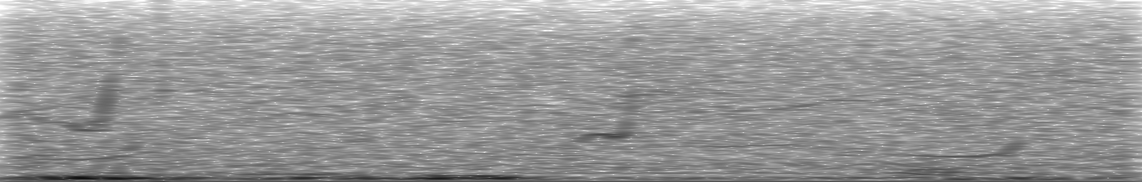 [Loading Spectrogram]