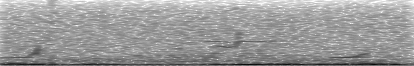 [Loading Spectrogram]