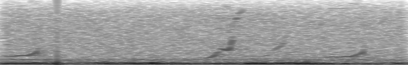 [Loading Spectrogram]