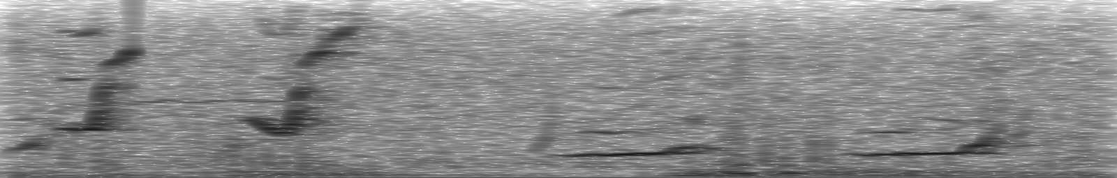 [Loading Spectrogram]