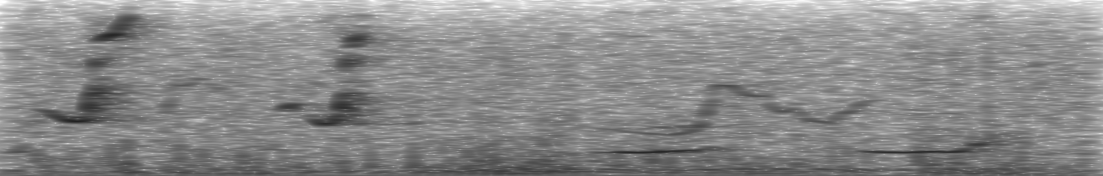 [Loading Spectrogram]