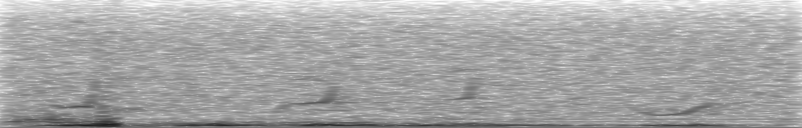 [Loading Spectrogram]