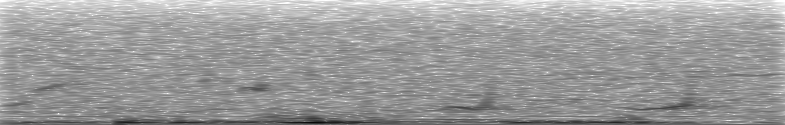 [Loading Spectrogram]