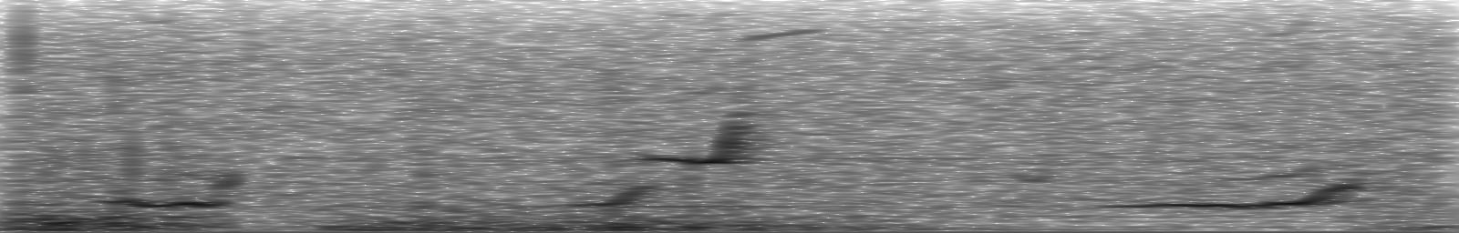 [Loading Spectrogram]