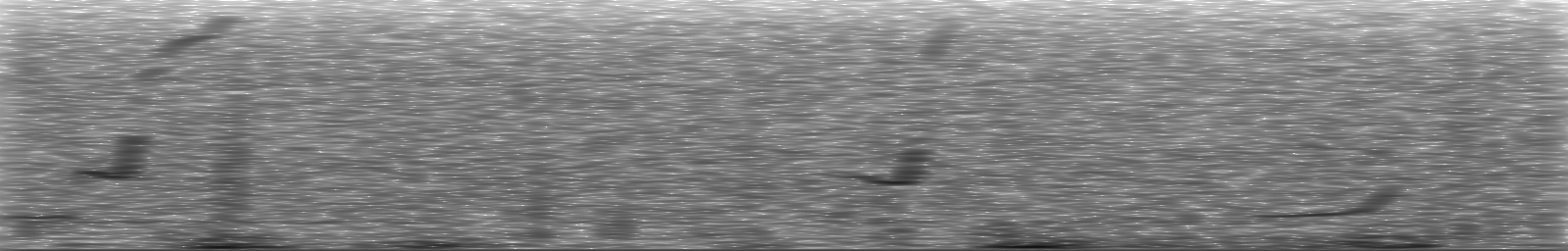 [Loading Spectrogram]