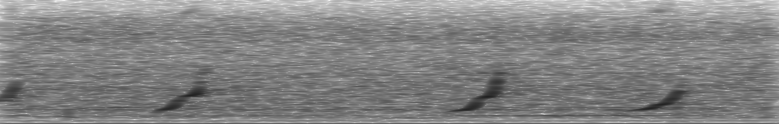 [Loading Spectrogram]