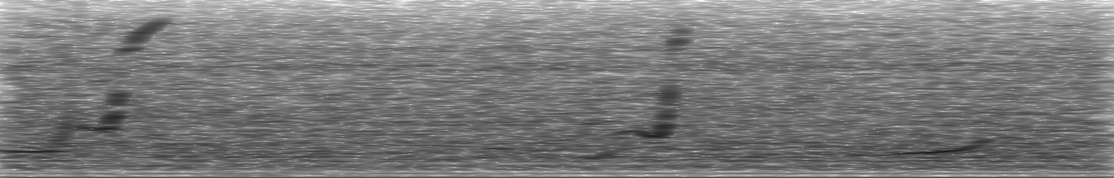 [Loading Spectrogram]