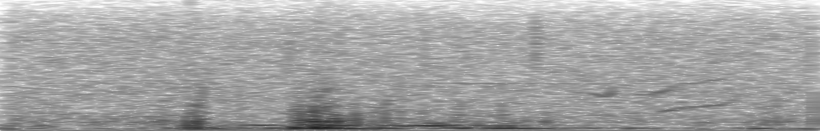 [Loading Spectrogram]