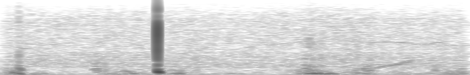 [Loading Spectrogram]