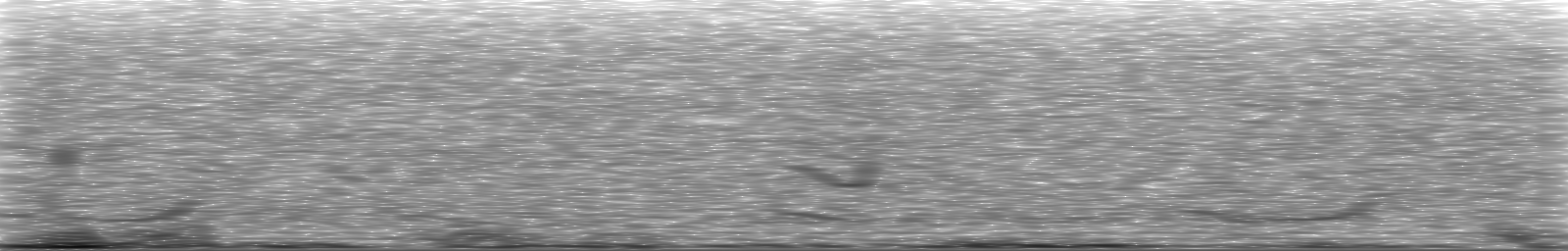 [Loading Spectrogram]