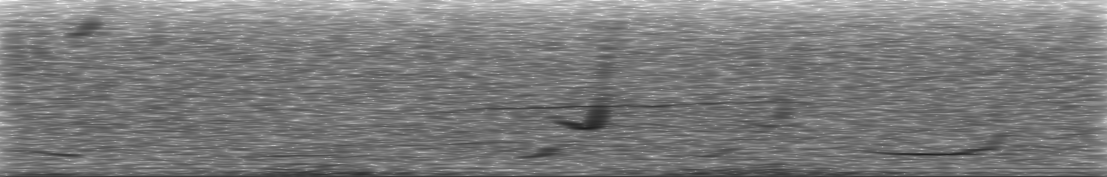 [Loading Spectrogram]