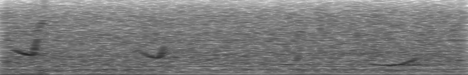 [Loading Spectrogram]