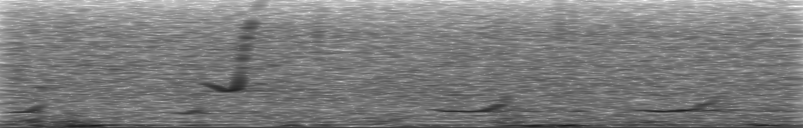 [Loading Spectrogram]