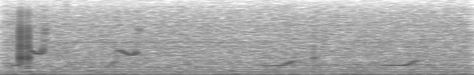 [Loading Spectrogram]