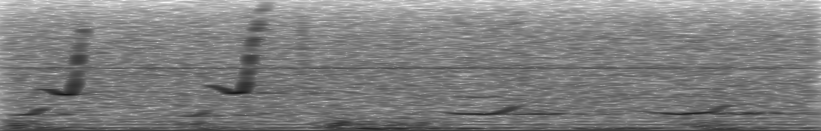 [Loading Spectrogram]