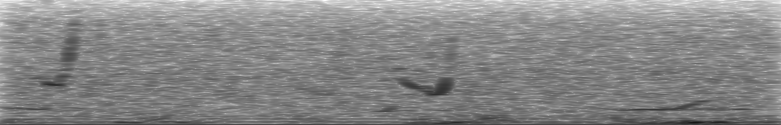 [Loading Spectrogram]