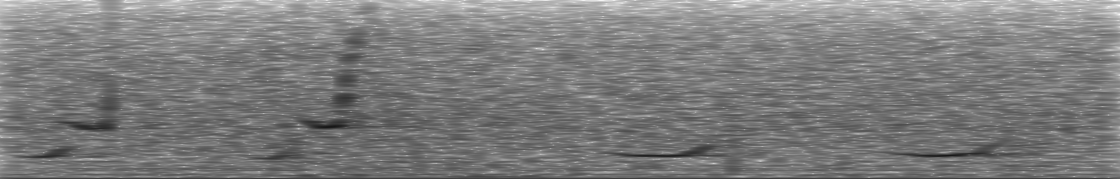 [Loading Spectrogram]