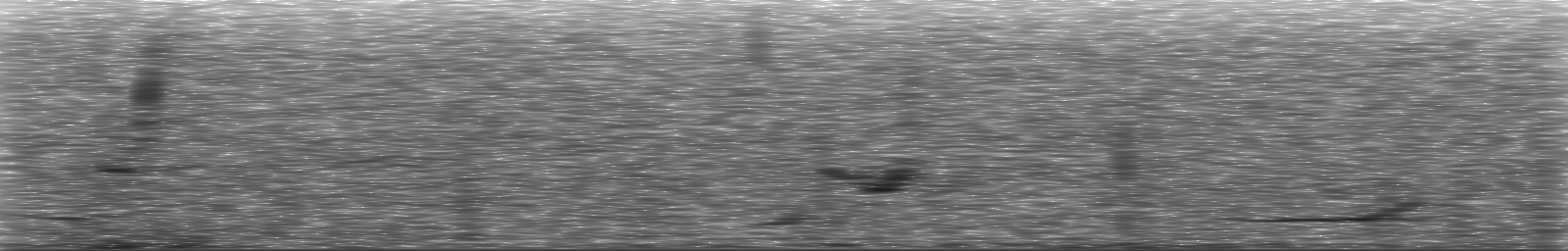 [Loading Spectrogram]