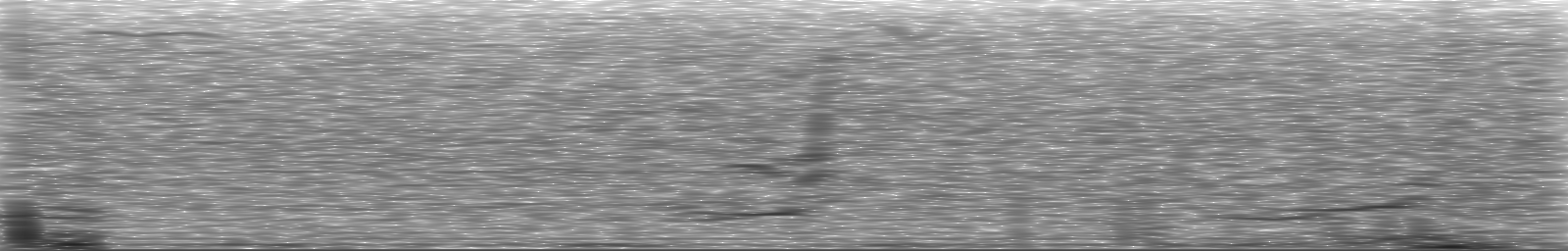 [Loading Spectrogram]