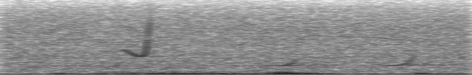 [Loading Spectrogram]