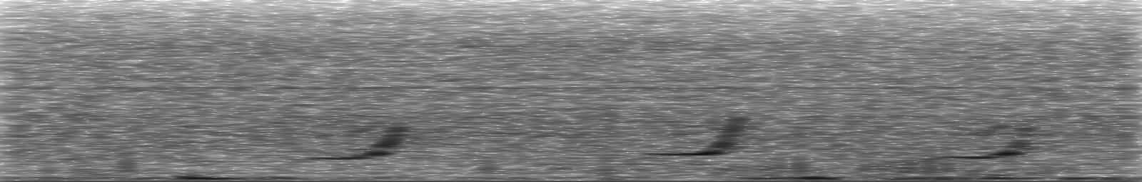 [Loading Spectrogram]