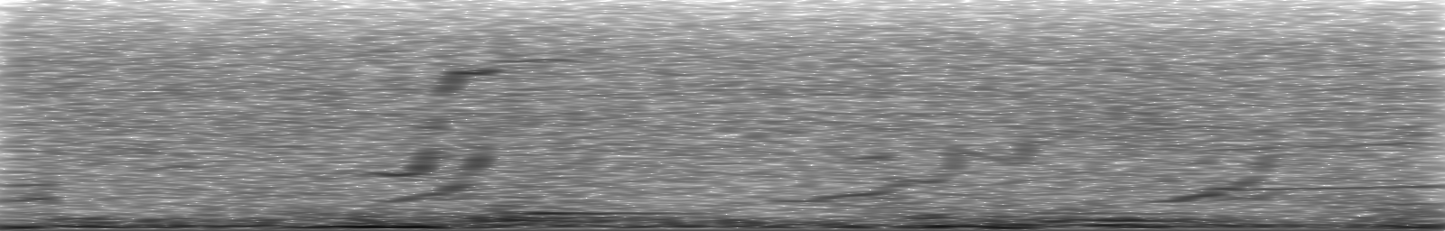 [Loading Spectrogram]