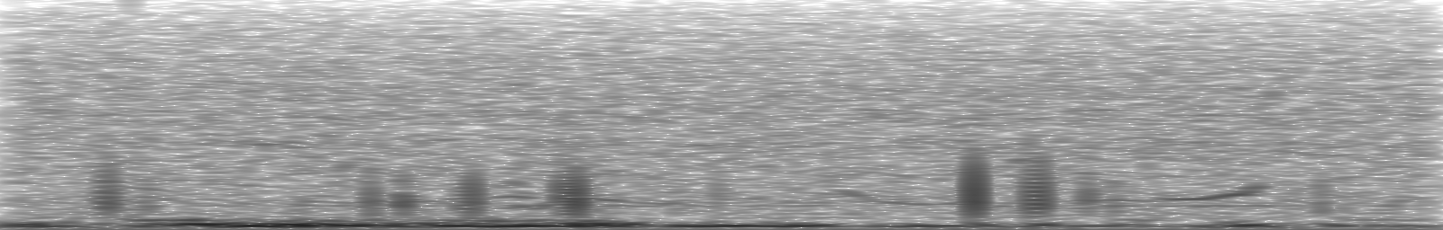 [Loading Spectrogram]