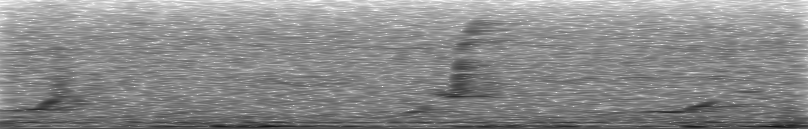 [Loading Spectrogram]