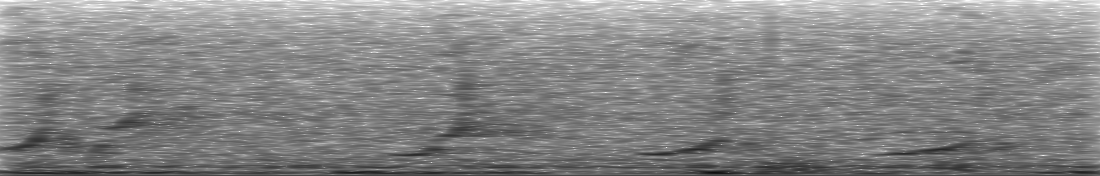 [Loading Spectrogram]